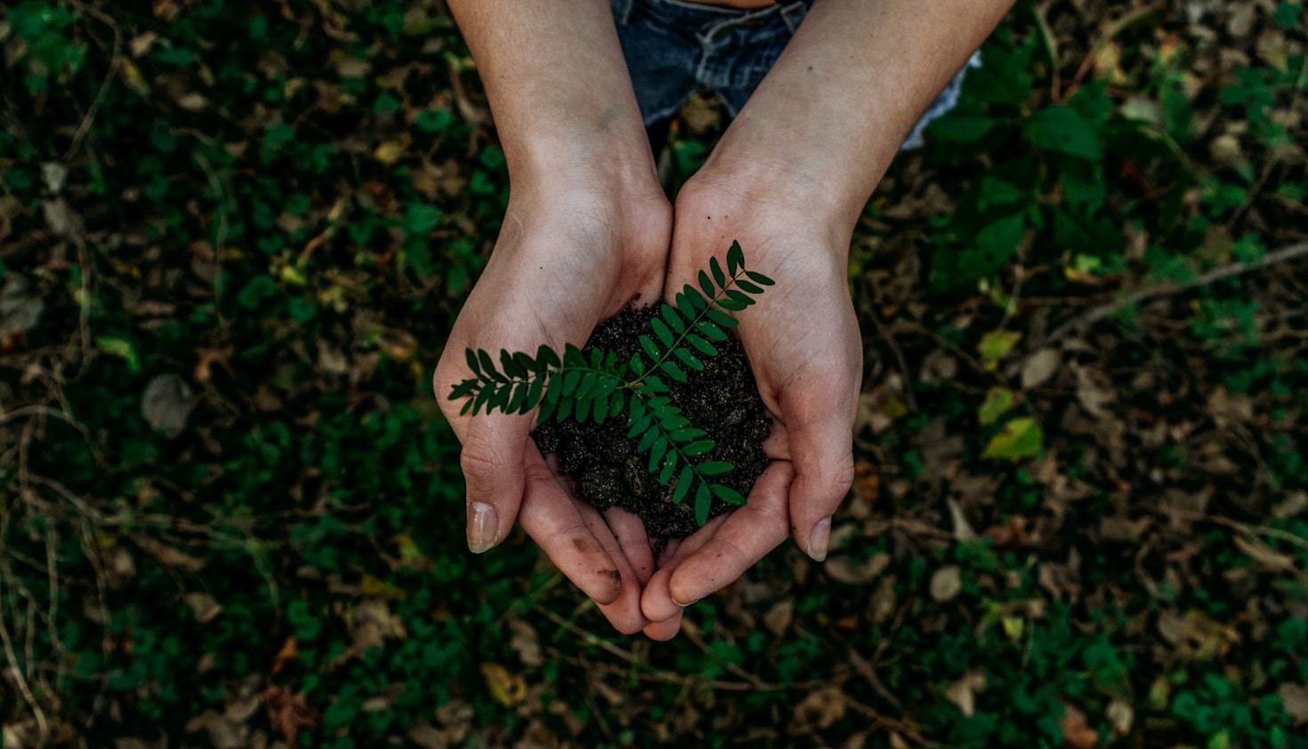 Five Easy Ways To Reduce Your Pet Carbon Footprint