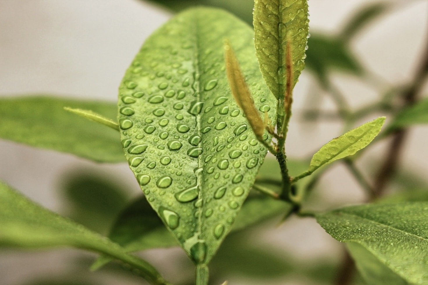 Choosing The Right Waste Bags For Nature