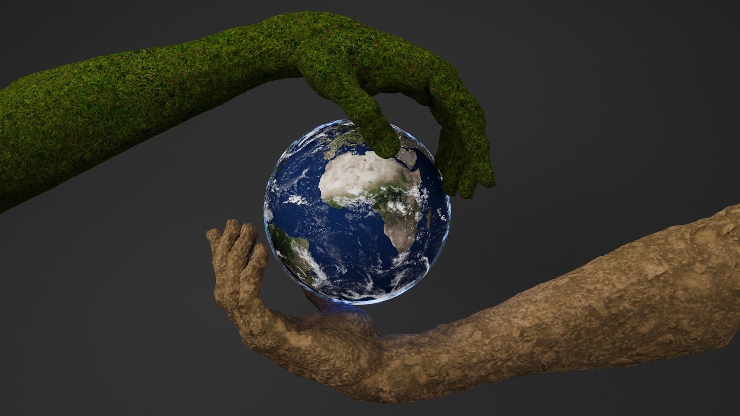 Simple Tips For A Greener Daily Walk